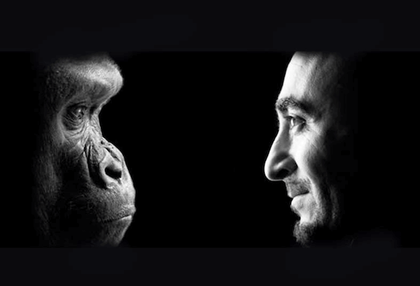 human animals similarities & love
